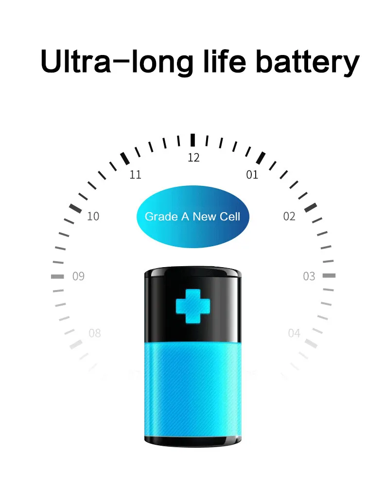 LiFePO4 Battery 5