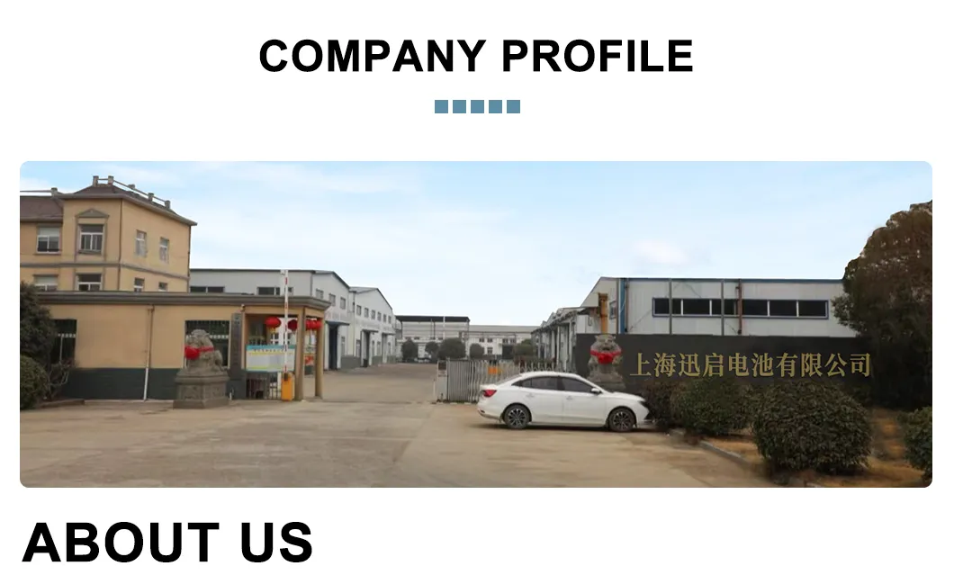 Company Overview