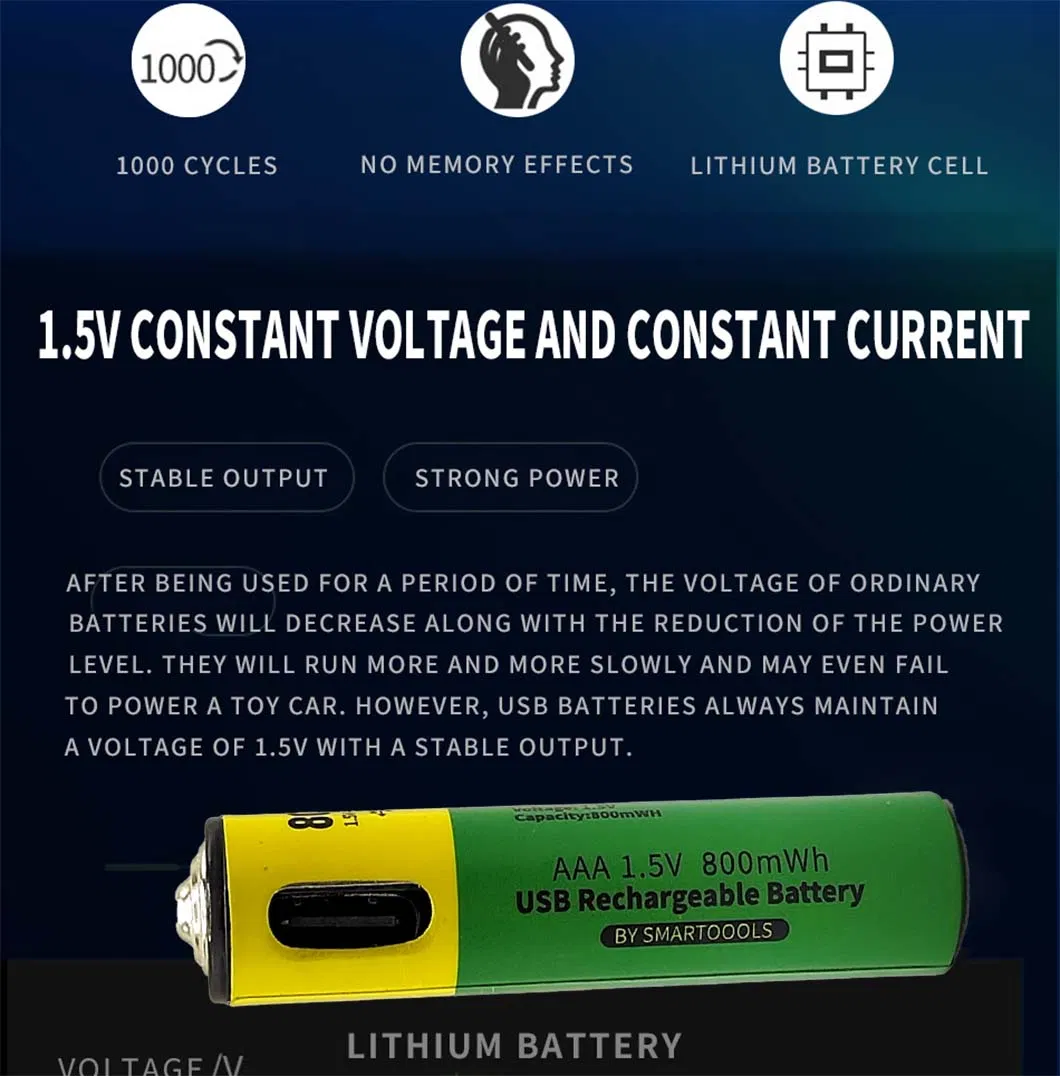 Rechargeable Battery 13