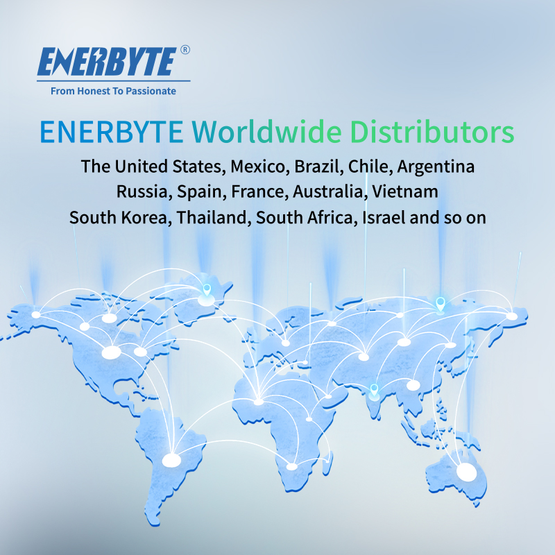 Pallet Truck Lithium Battery 24V/48V, LiFePO4 Industrial Battery for Electric Pallet Jack with BMS, Long Lifespan Stable Power Supply Battery