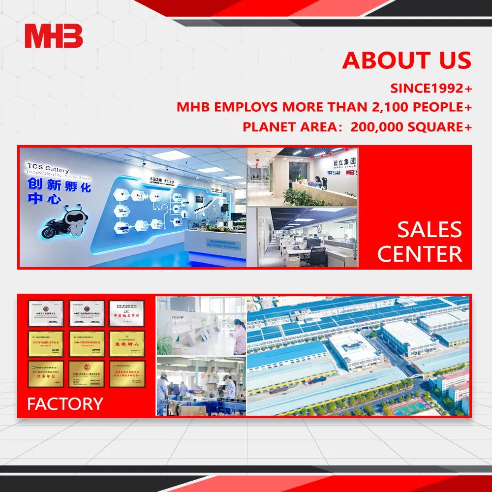 Mhb 12V 100ah VRLA Deep Cycle Battery for UPS/Backup Power/Emergency Lighting/Medical Equipment