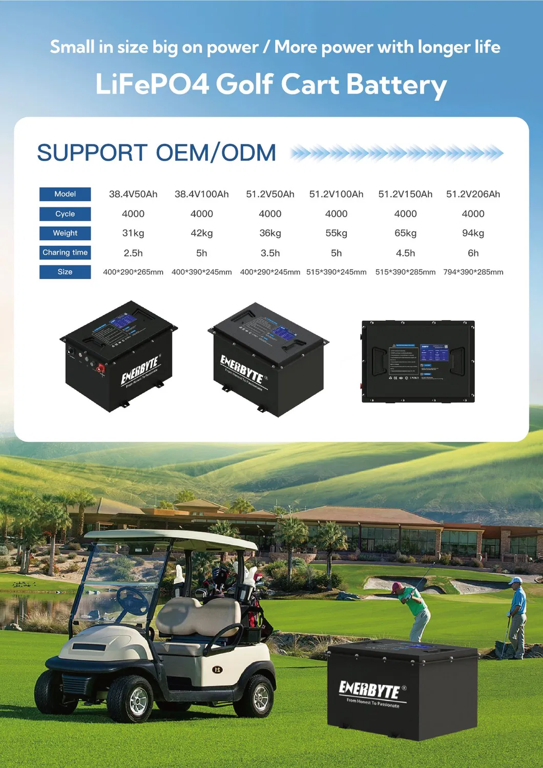 Battery Description 1