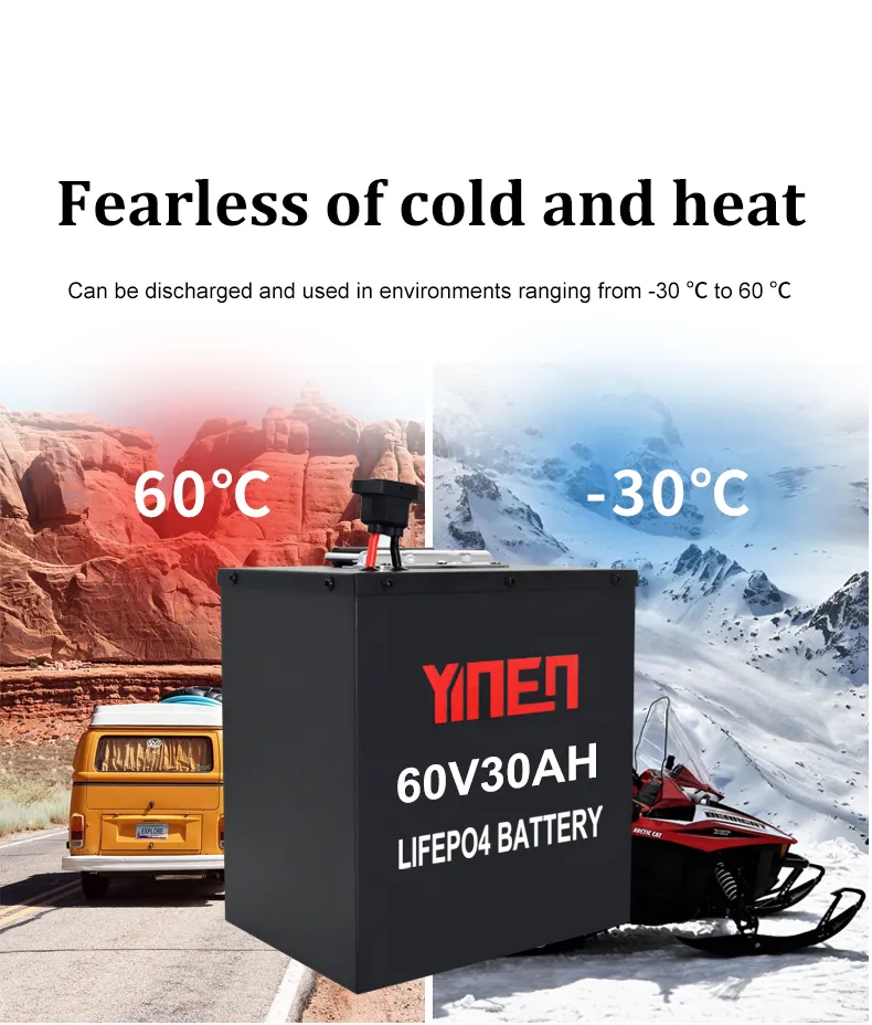 LiFePO4 Battery View 7