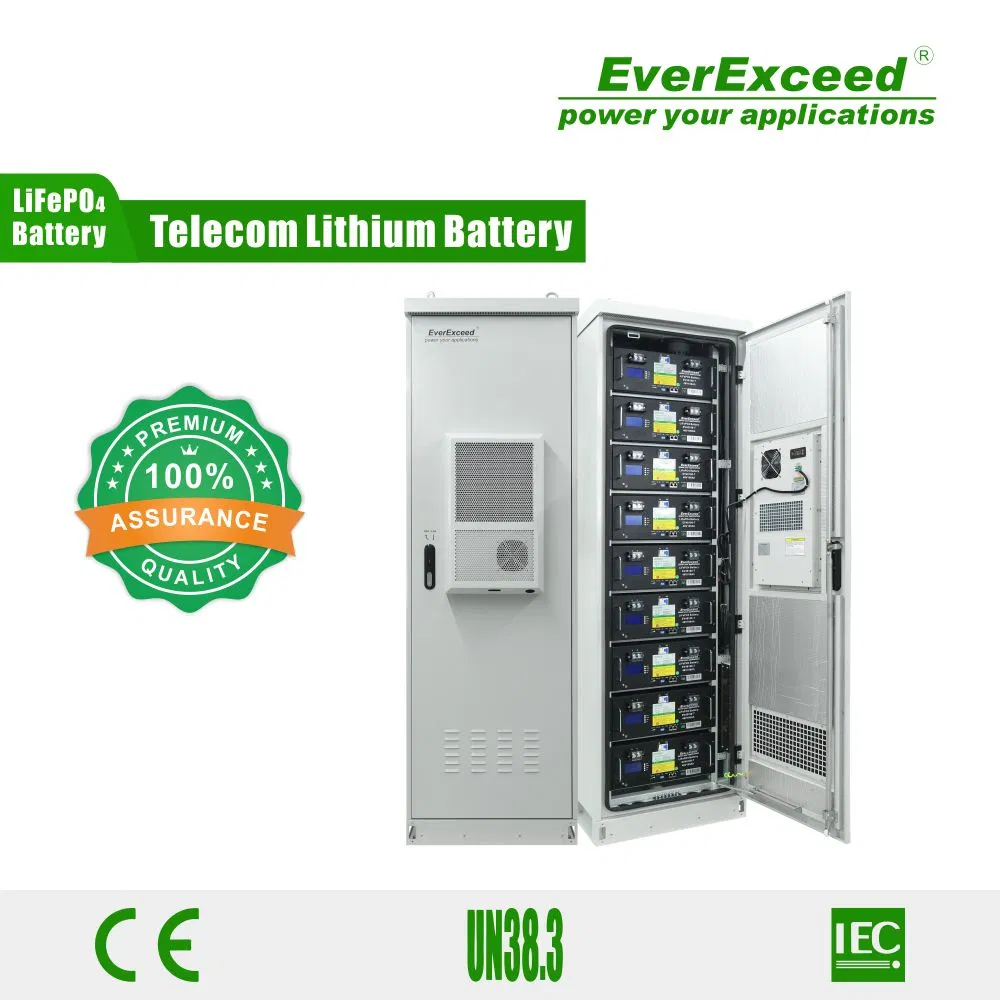 Customizable Outdoor Cabinet with 48V900ah Lithium Battery for Telecommunications Power Backup