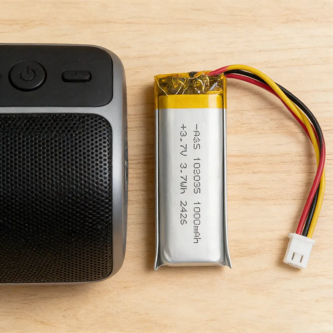 Lithium Polymer Battery View 4