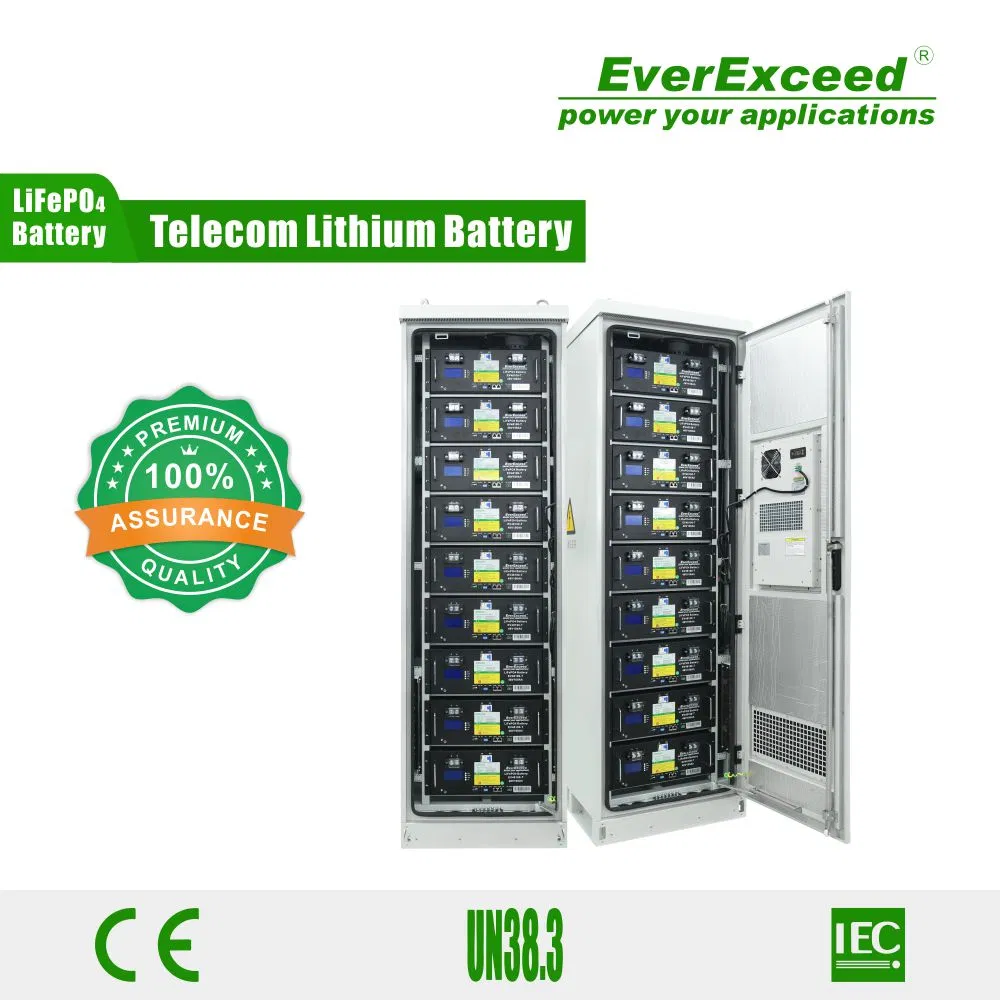 Customizable Outdoor Cabinet with 48V900ah Lithium Battery for Telecommunications Power Backup