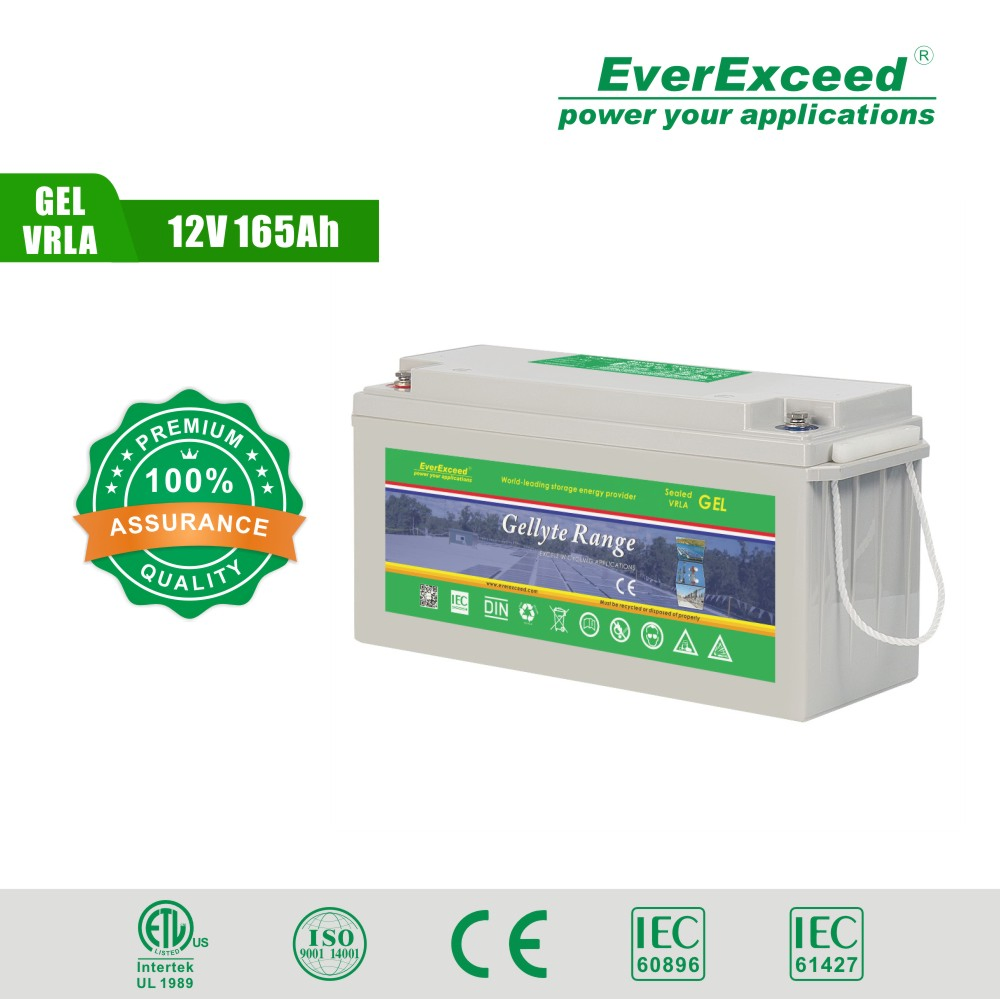 Everexceed 12V 160ah VRLA/Gel Deep Cycle Lead-Acid Rechargeable Storage Battery for Solar Energy/Emergency Lighting System/Backup Solar Power Battery