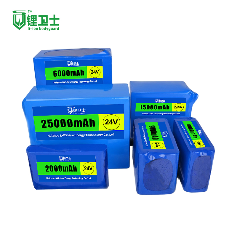 Lws 22V 24V 48V 72V 20ah LiFePO4 Batterie 12V Lithium Ion Battery Pack
