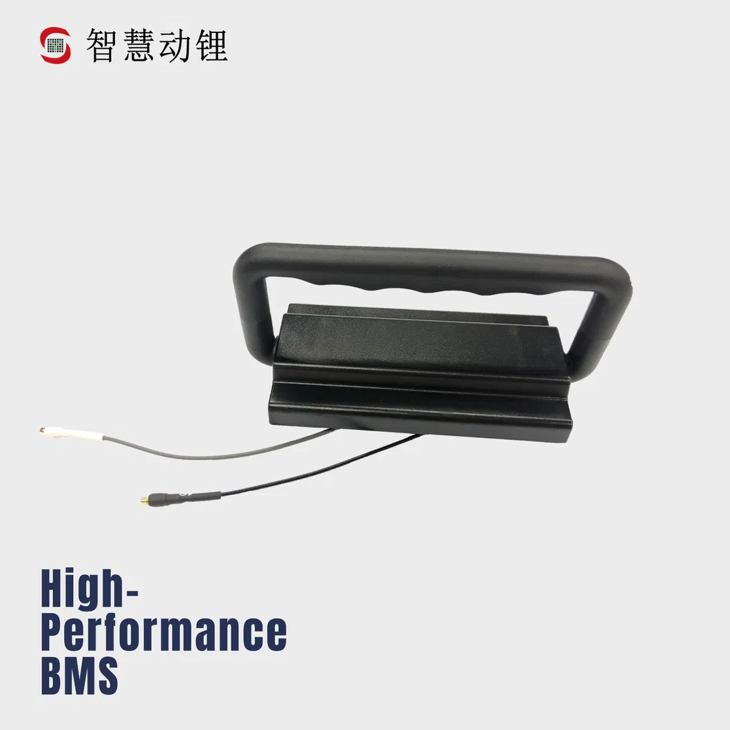 BMS Technical Detail 1