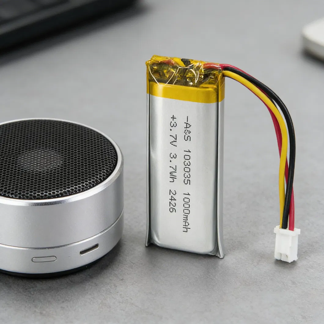 Lithium Polymer Battery View 3