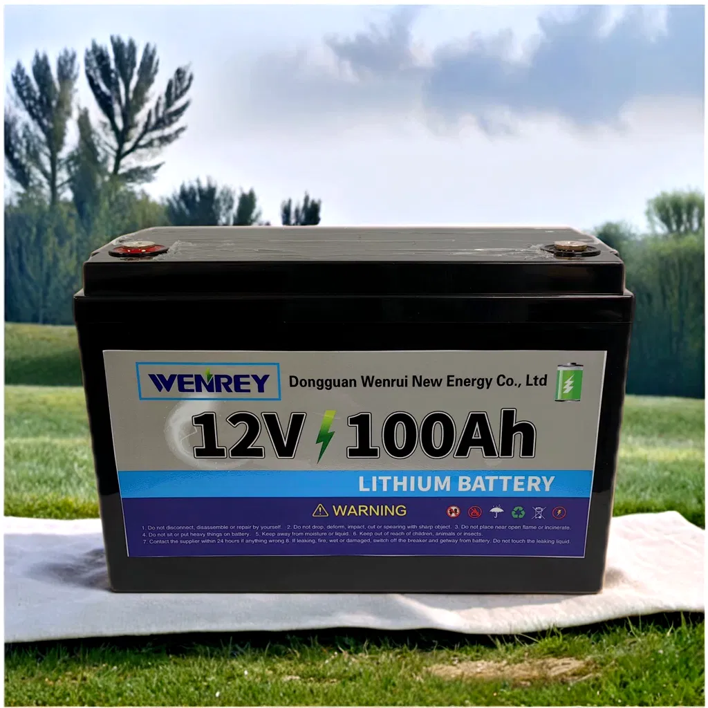 All-Weather Lithium 12V 24V 80ah-300ah LiFePO4 Batteries for Solar Golf Carts, Camping Vehicles, and Marine Energy Storage