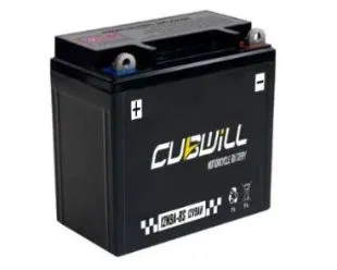 Factory activated battery