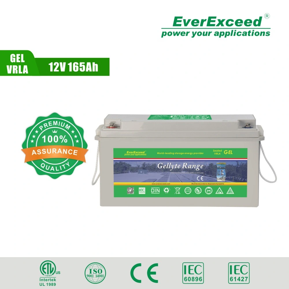 Everexceed 12V 160ah VRLA/Gel Deep Cycle Lead-Acid Rechargeable Storage Battery for Solar Energy/Emergency Lighting System/Backup Solar Power Battery