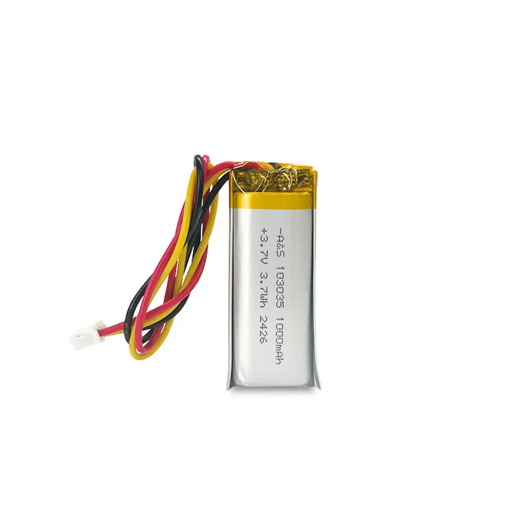 Lithium Polymer Battery View 2