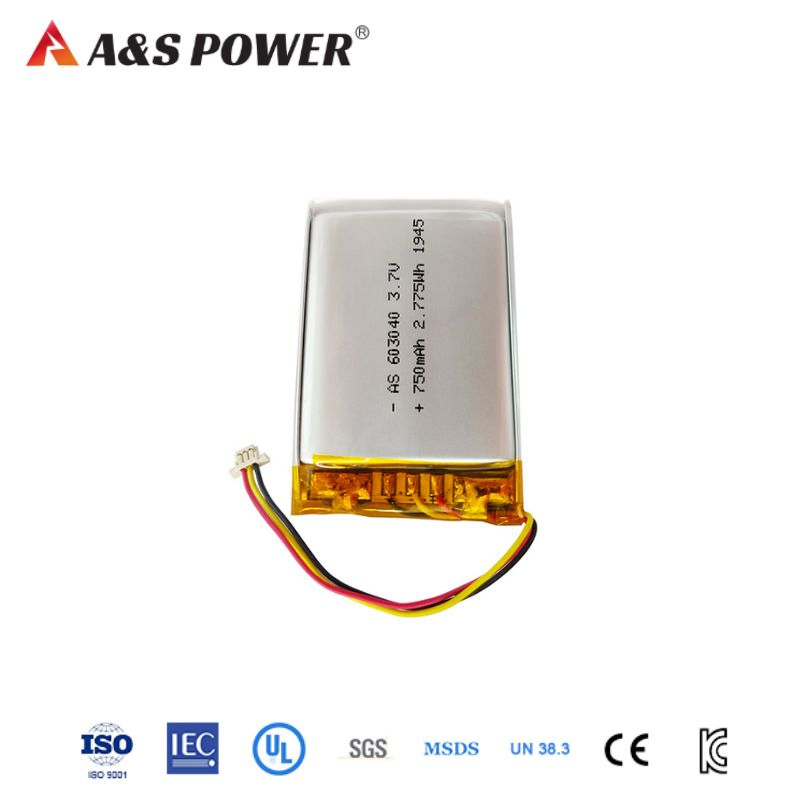 18 Years Factory UL2054 CB Kc Lipo Battery 3.7V 750mAh 603040/584070 Lithium Polymer Battery for Mobile Phone/GPS Tracking/Hearing-Aid/Earphone