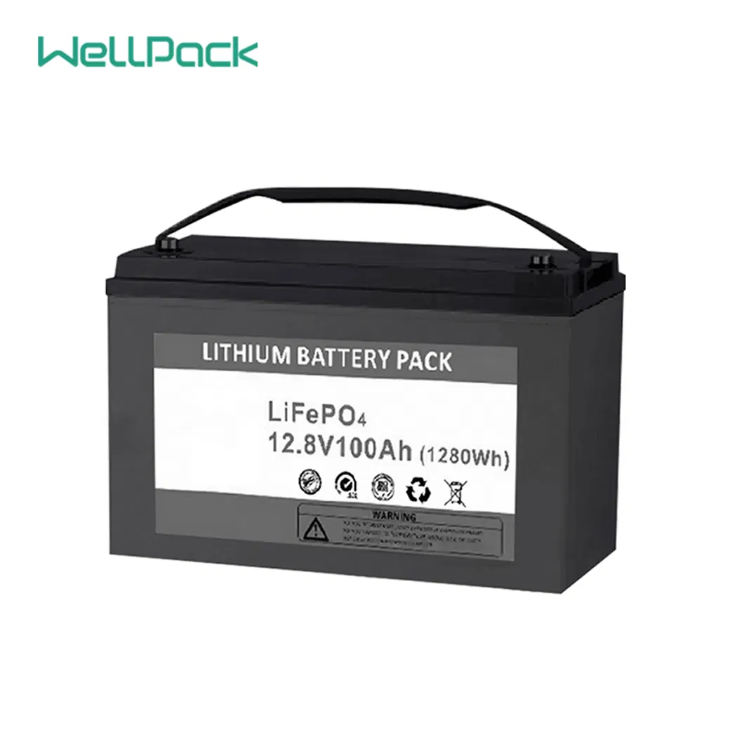 LiFePO4 Battery Cell View 3