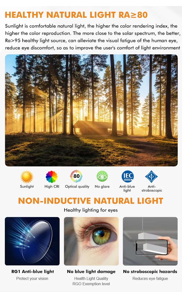 LED Pendant Structure Specification