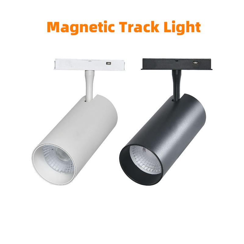 Whole House Smart Magnetic Track Lighting System 48V Low Voltage Color Temperature Adjustable Home Lights