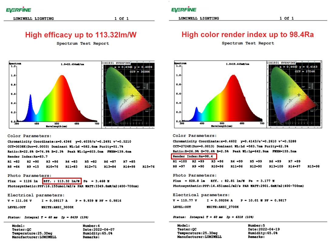 Testing report diagram