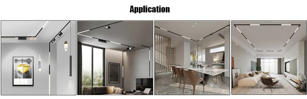 Professional Lighting Application