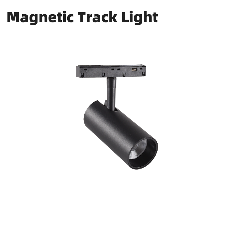 Whole House Smart Magnetic Track Lighting System 48V Low Voltage Color Temperature Adjustable Home Lights