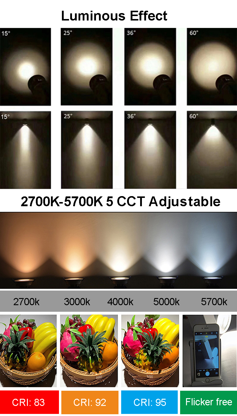 Track Light Vertical Angle Showcase