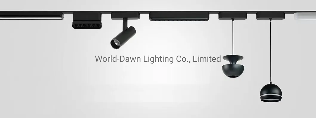 Magnetic Linear Light