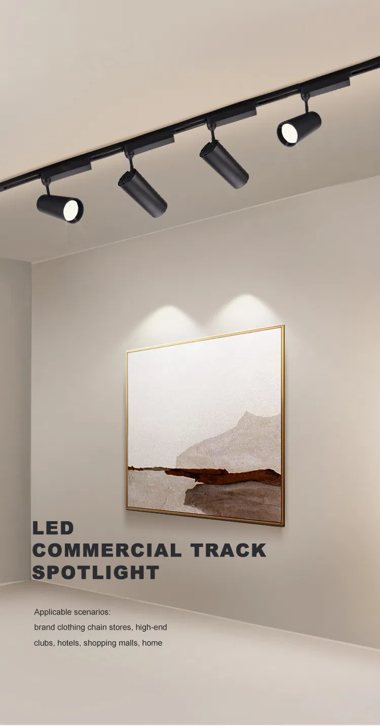 Modern Premium Design High Brightness Adjustable LED Track Spotlight