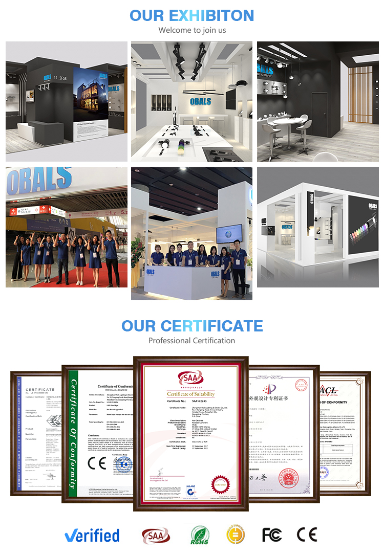 Company Showcase 5