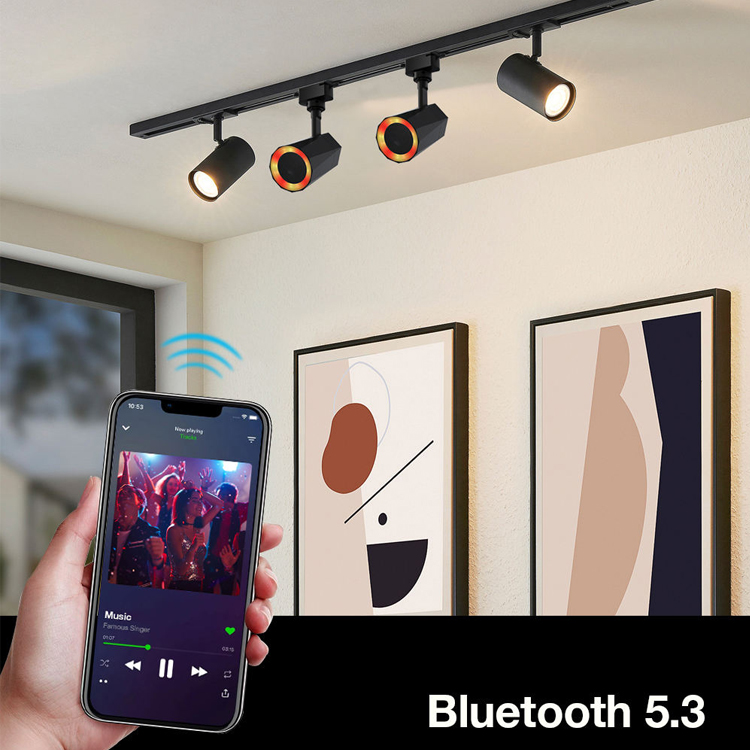 OEM Smart Track Light System with BT Speaker Music Sync RGB LED Rail Lighting for Hotel Retail Office GYM Projects