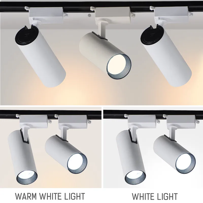 Track Light 6
