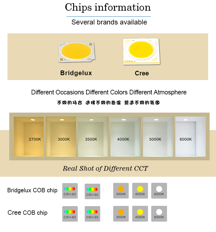 LED Down Light Product Engineering Drawing 2