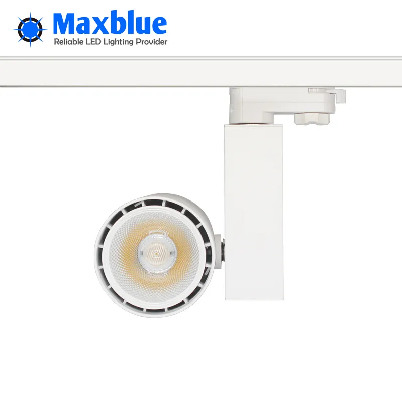 Track Light 5
