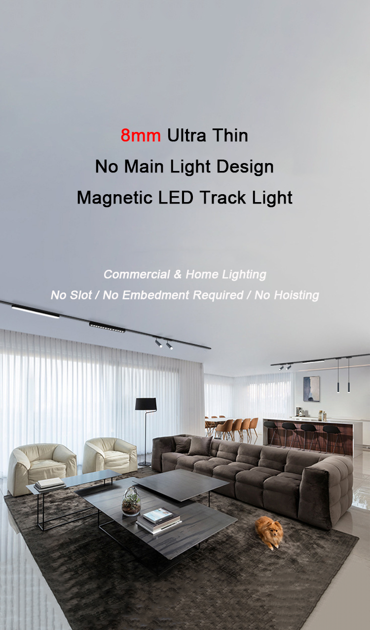 Magnetic Track Light