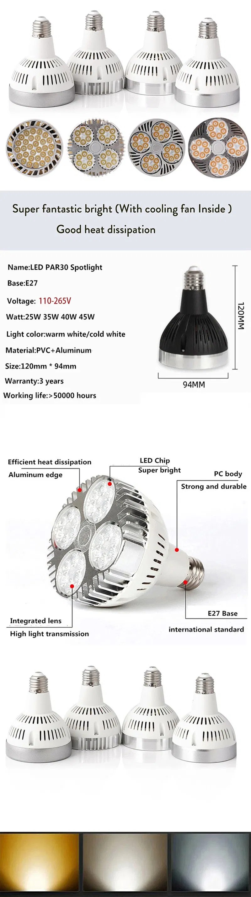 LED PAR30 Bulb Details