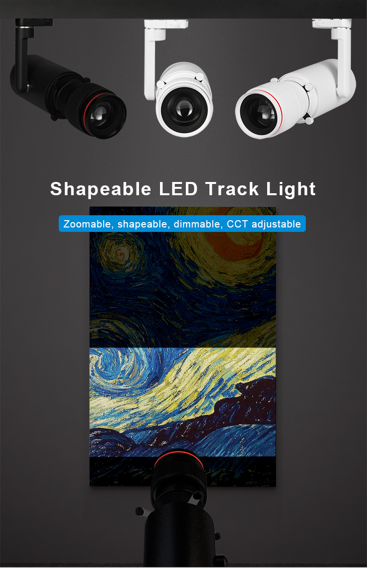 Track Light Detail