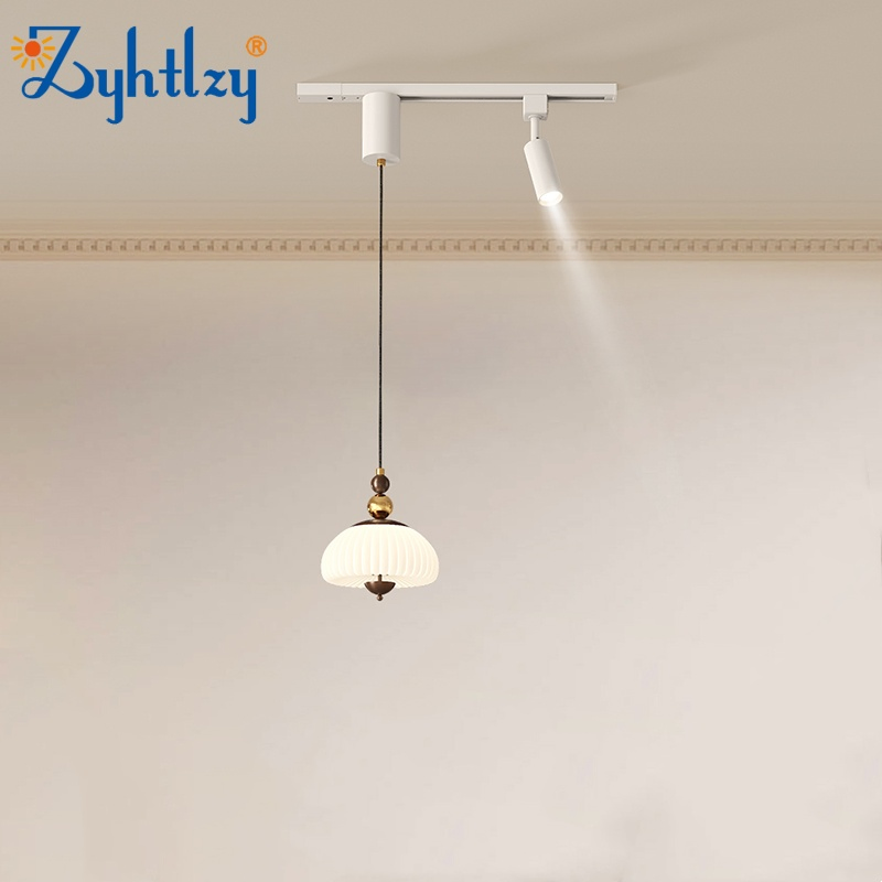 New Chinese Style Design and Decoration LED Light Magnetic System Track Light Linear Rail Pendant Light (ZY-D022)