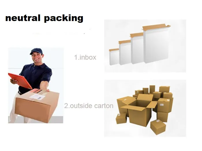 Elegant Pendant Downlight Packaging