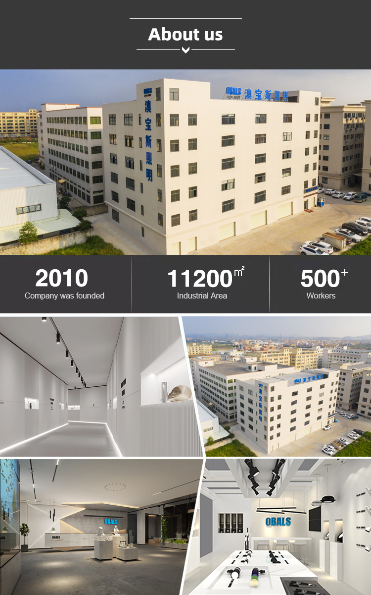 Company Profile Details