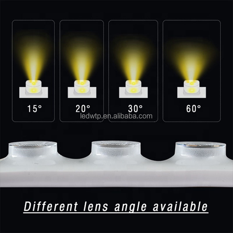 Architectural advertising landscape lighting