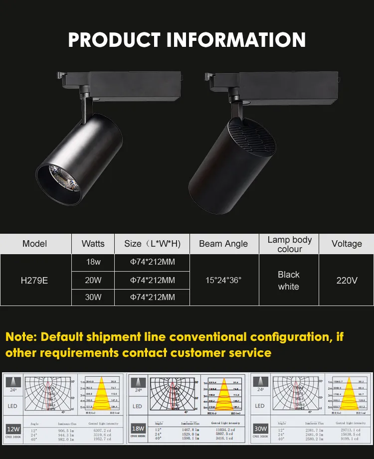 Track Spot Light Structure View