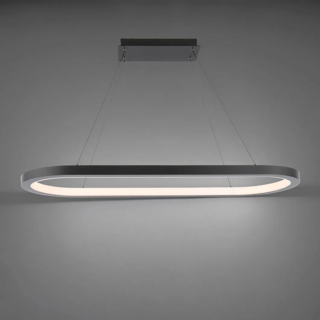 Minimalist Oval Ring Light 4
