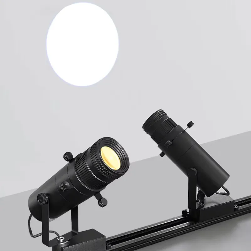 Professional 30W LED Museum Track Spotlight: Adjustable Precise Beam for Art