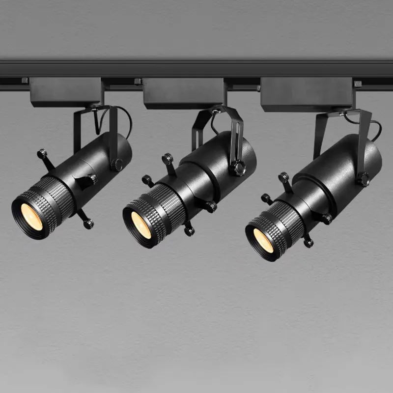 Professional 30W LED Museum Track Spotlight: Adjustable Precise Beam for Art