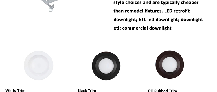 Recessed Downlight Integrated LED Light Canless Install