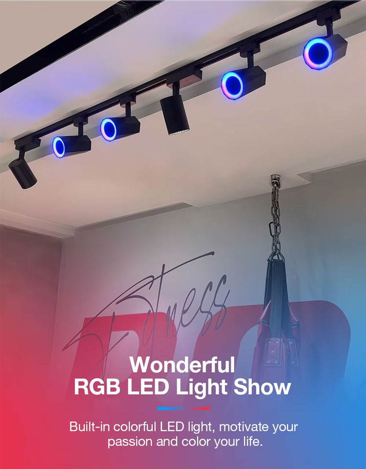 Smart Track Light System Detail 6