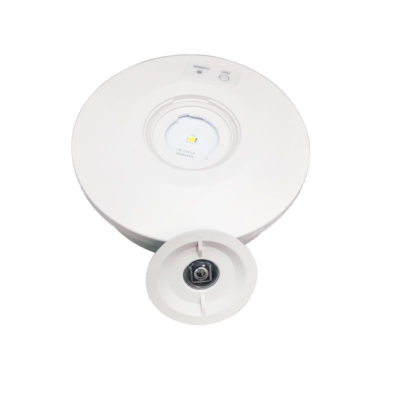 Europe/Australian Standard IP 65 Ceiling 3W Rechargeable Emergency Light Led Emergency Down Light