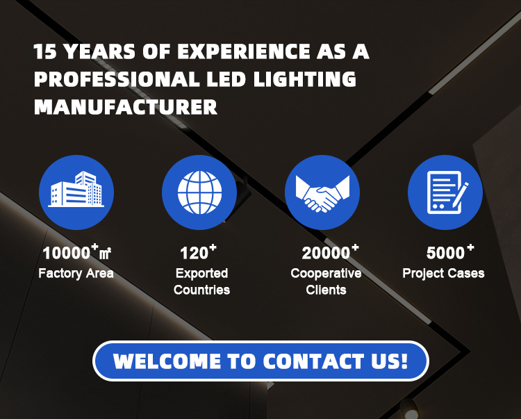 Magnetic Track Light System Overview