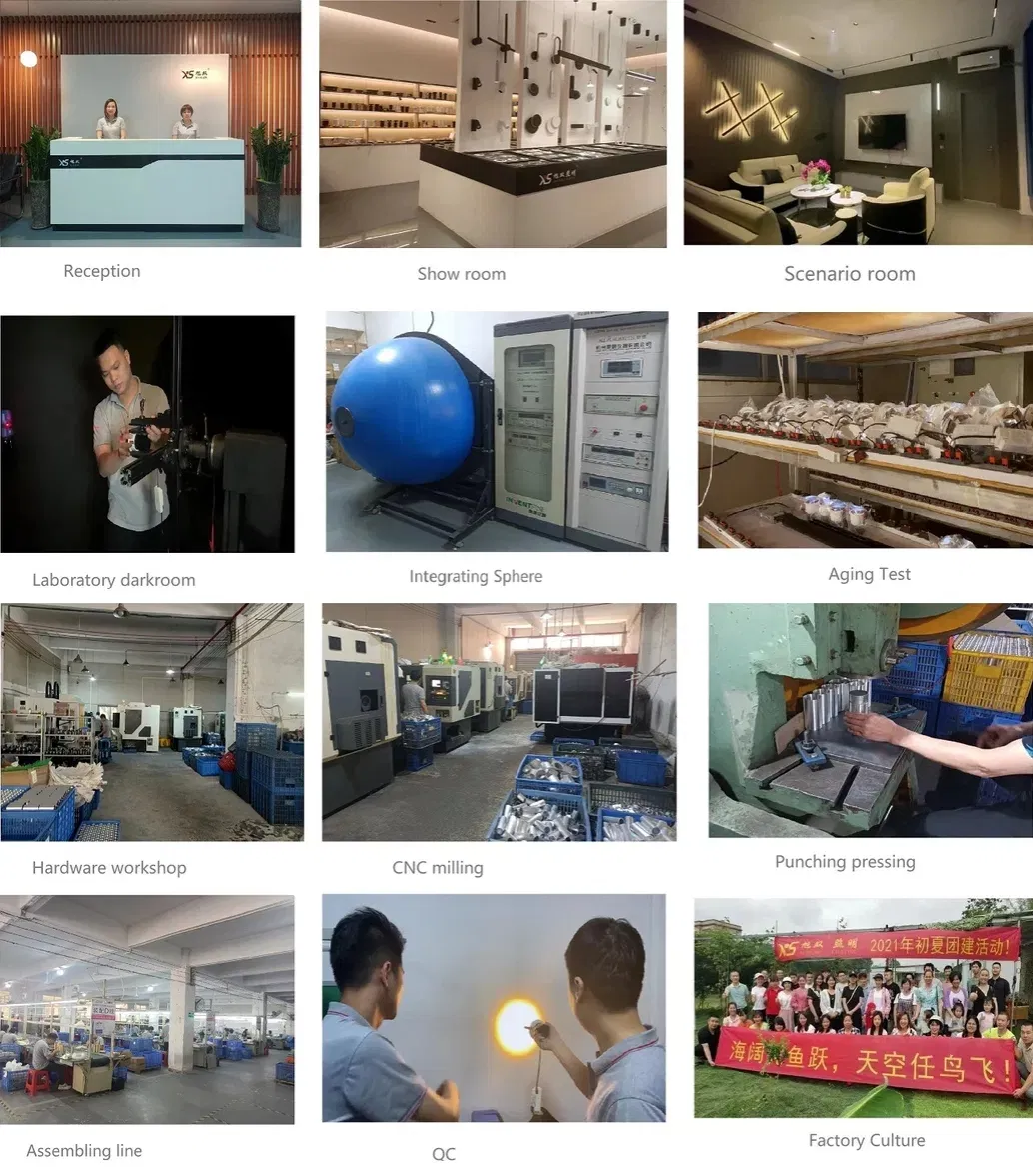 International Exhibition Overview