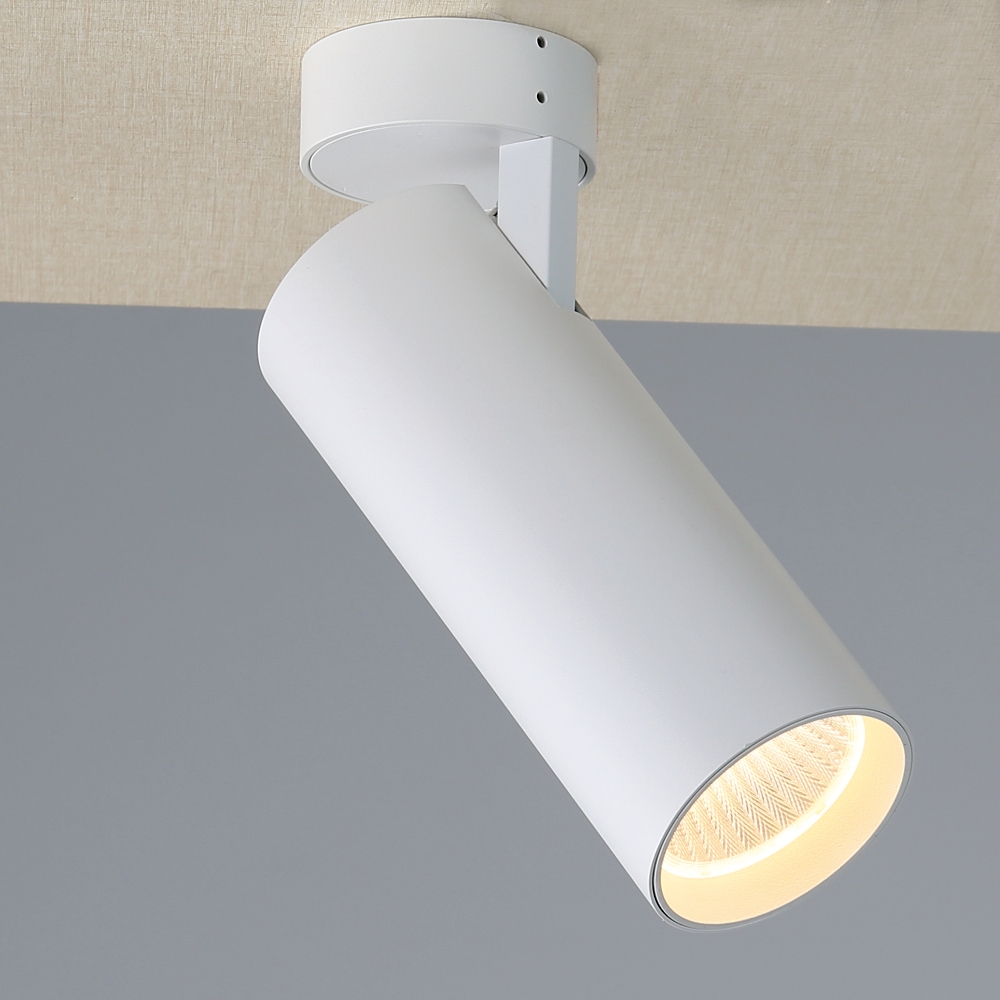 Modern Dimmable Hanging LED Pendant Lights Led Ceiling Downlight COB Surface Mounted Down Light Ril Magnetic Track Spot Light